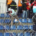 Plzeň - Slavia (hooligans.cz) 6.jpg