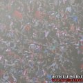 Slavia Praha - Bohemians 1905 (Vašek 2012) 12.JPG